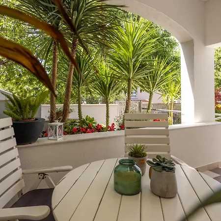 Dada 比奥格勒·纳·莫鲁