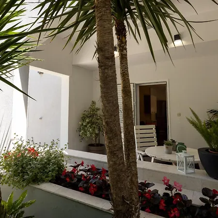 Dada Apartment *