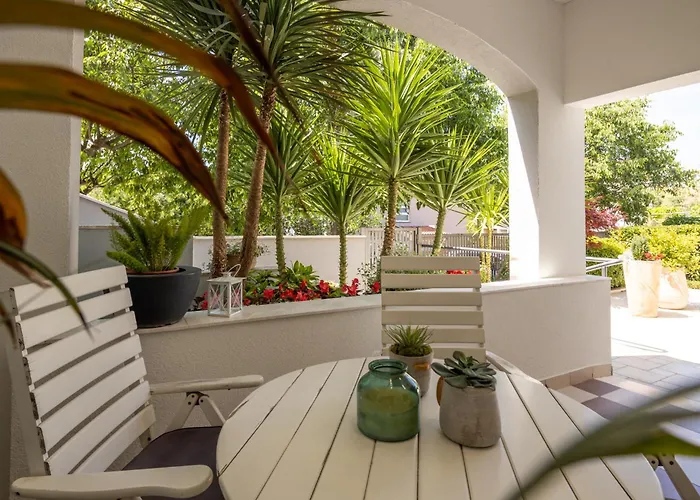 Dada Biograd Na Moru